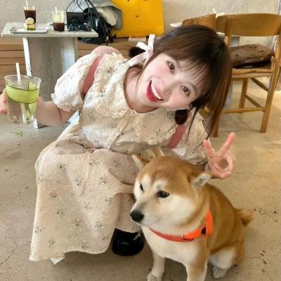 我的表兄维尼